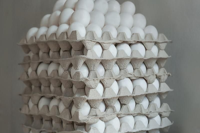 Egg Packers Job in Saudi Arabia