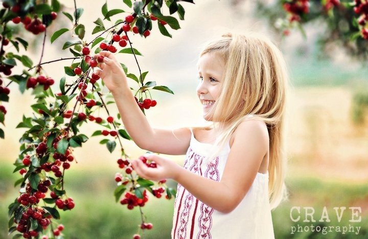 Cherry Picker Jobs in Canada