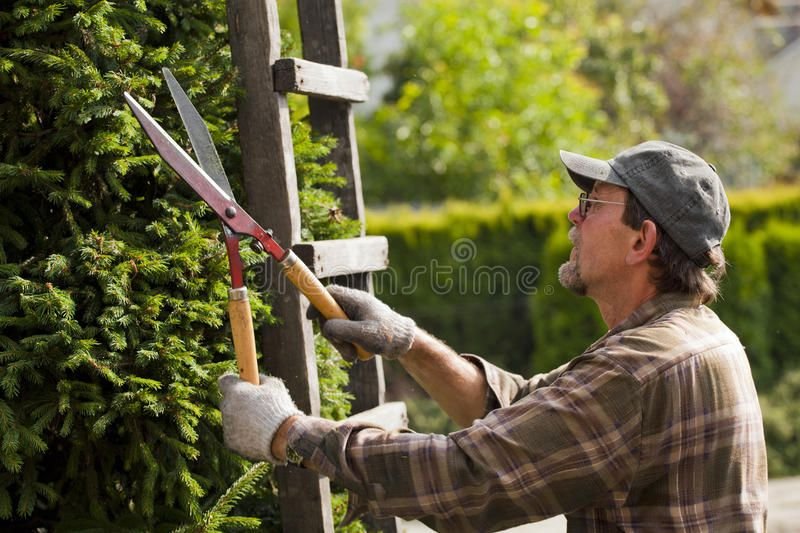 Gardener job in Auckland