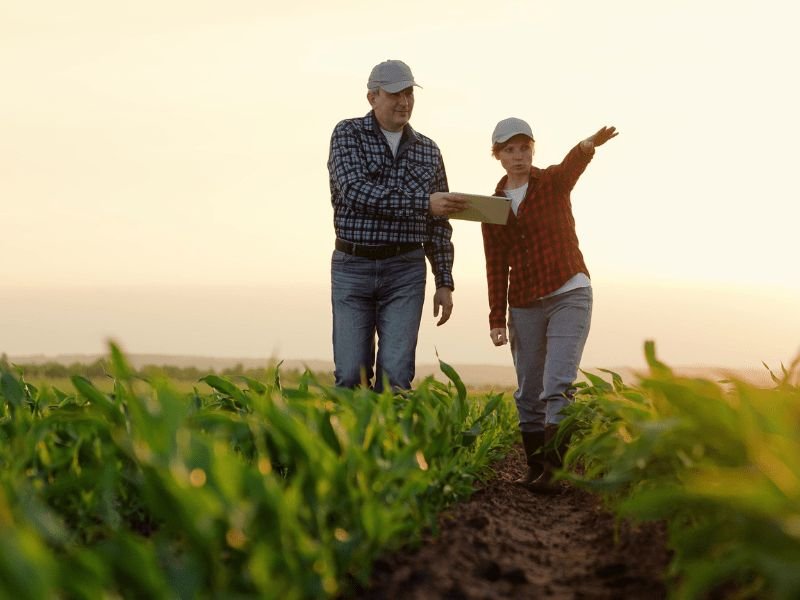 Farm Manager Job in Saudi Arabia