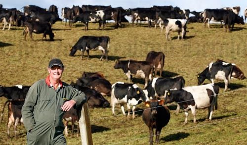 Dairy Farm Worker Job in New Zealand