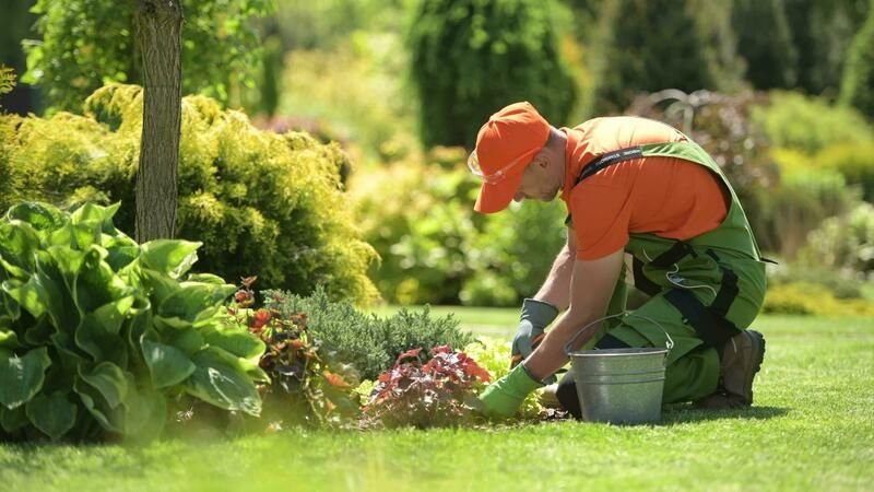 Gardener Job in Qatar