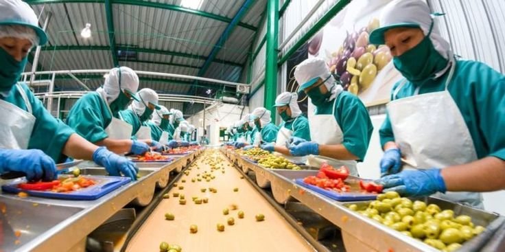 Food Processing Factory Worker Job in Canada