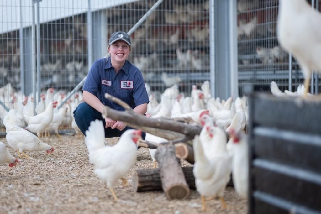 Poultry Worker job in Australia