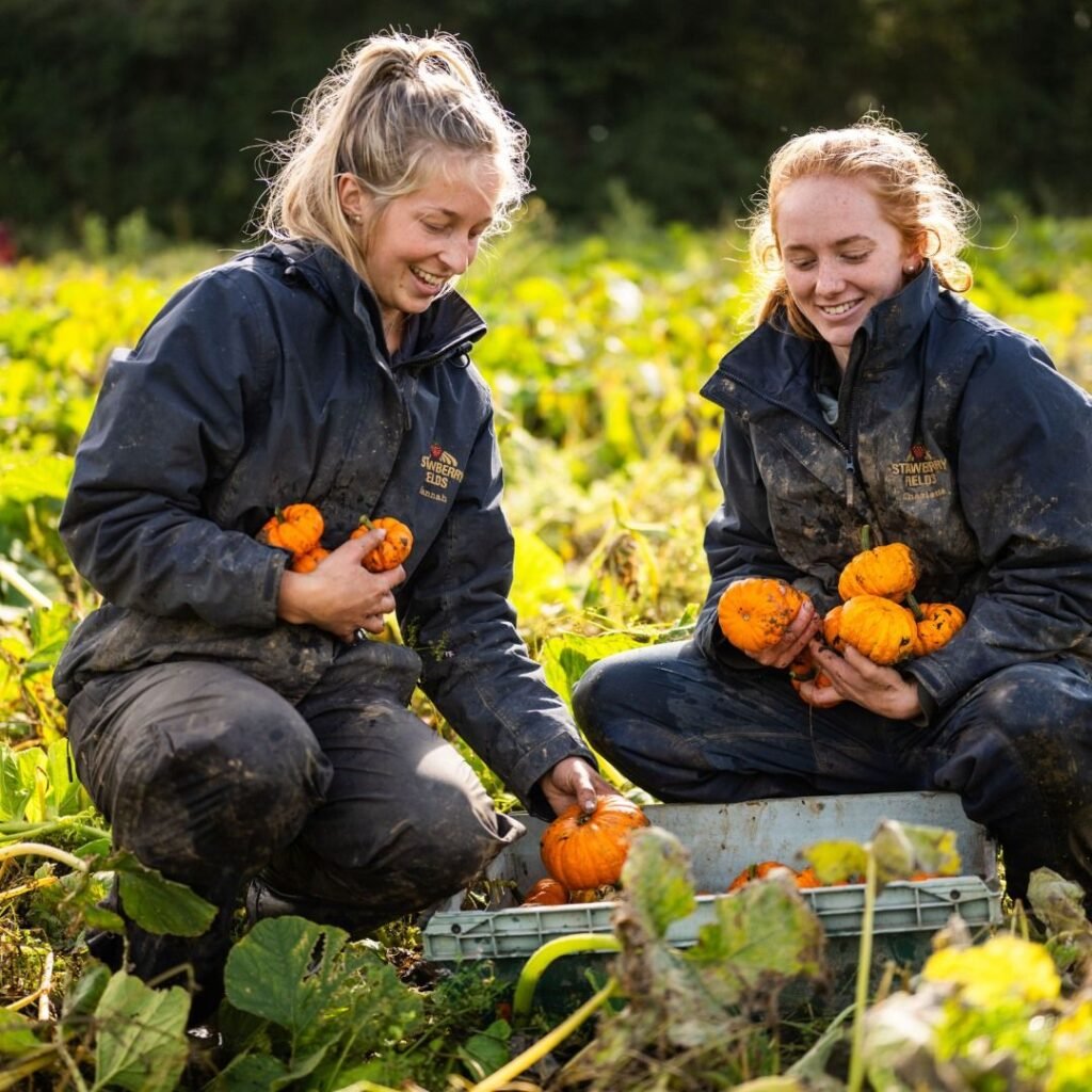 Farm Assistants Job in New Zealand