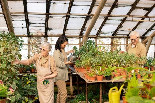 Greenhouse Worker Job in Canada