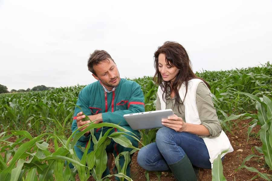 Agriculture Engineer Job in Dubai