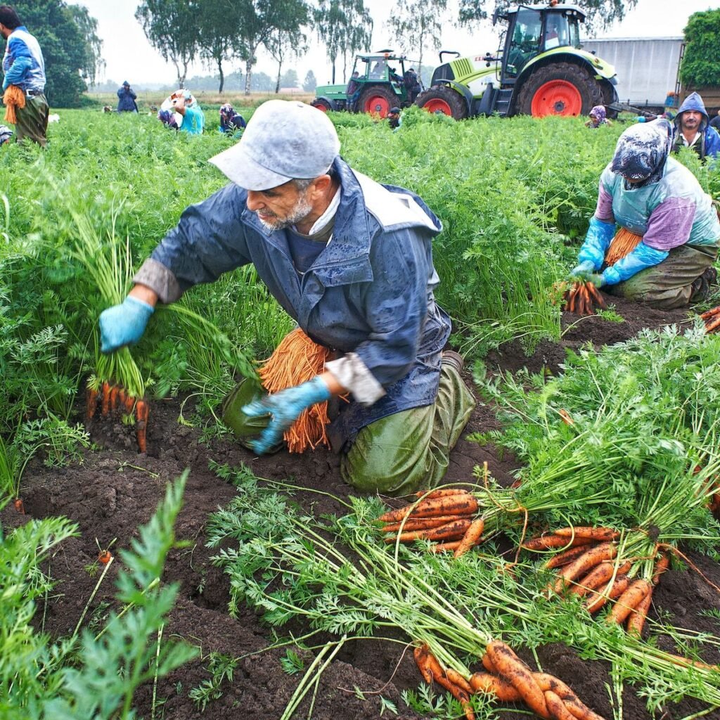 Farm Worker (General) job in Canada