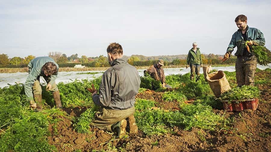 General Farm Worker Job in Canada