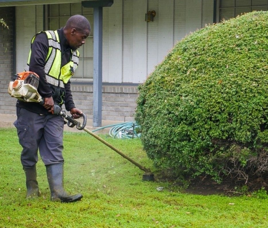 Groundperson Job in New Zealand