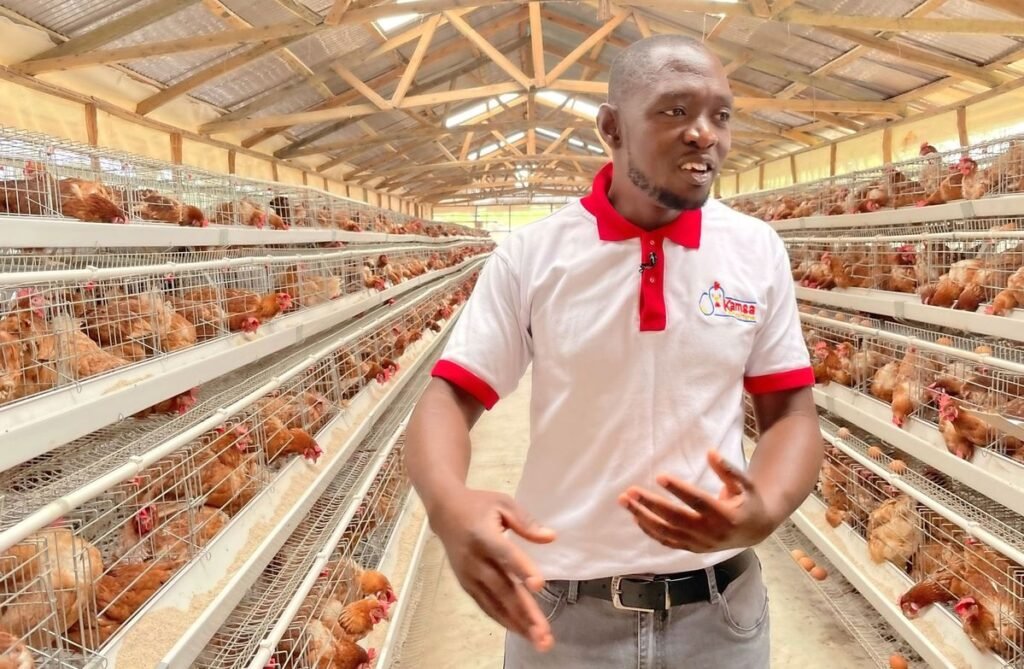 Poultry Farm Worker Job in Australia