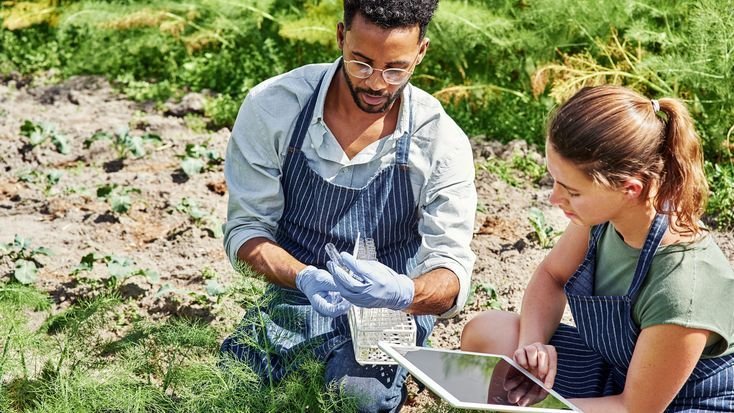 Agricultural Engineer Job in Qatar