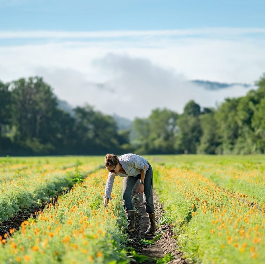 Farms Assistant Job in Auckland