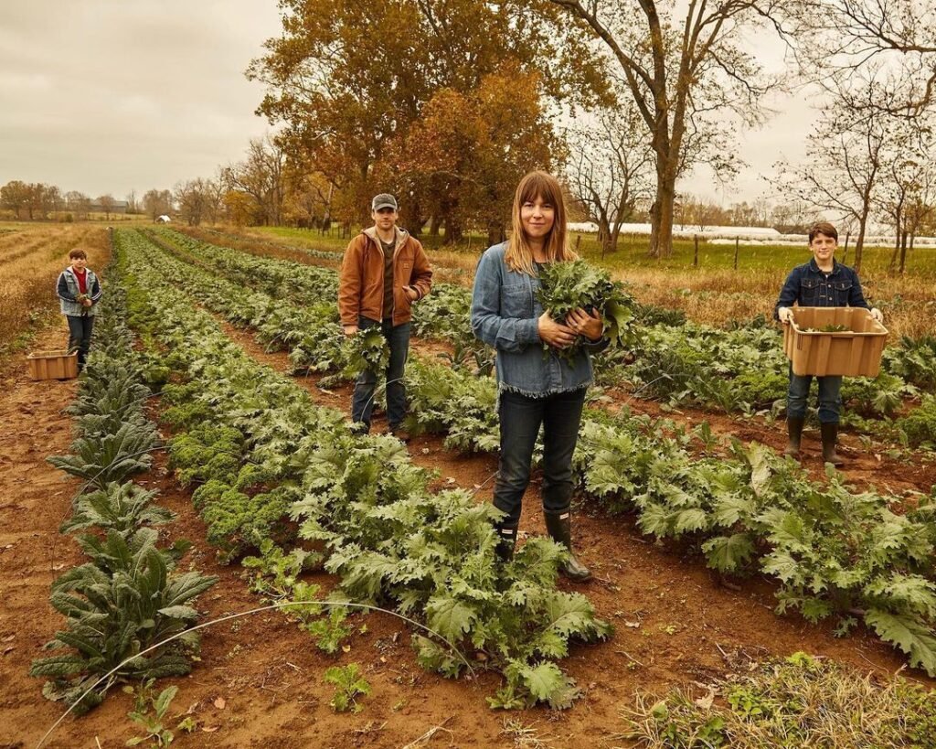 Farms Assistant Job in Auckland