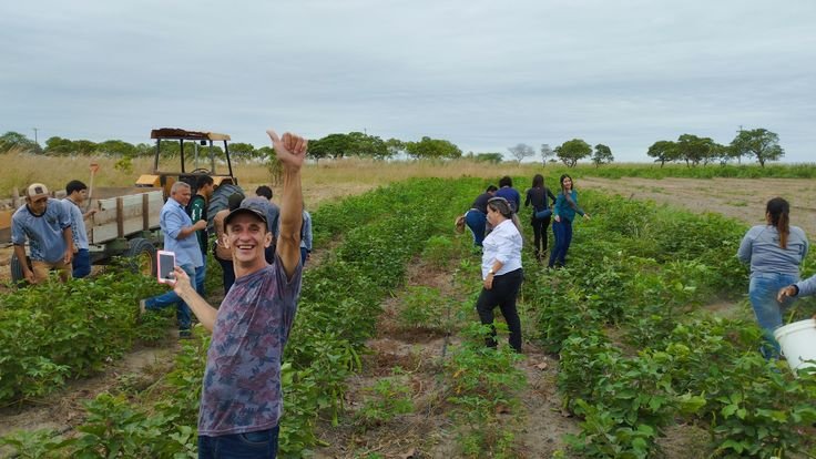 Farm Worker Job in Mexico