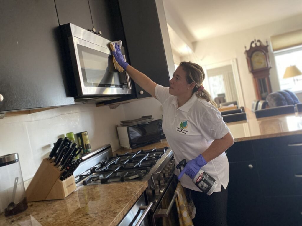 House Cleaner Job in Argentina