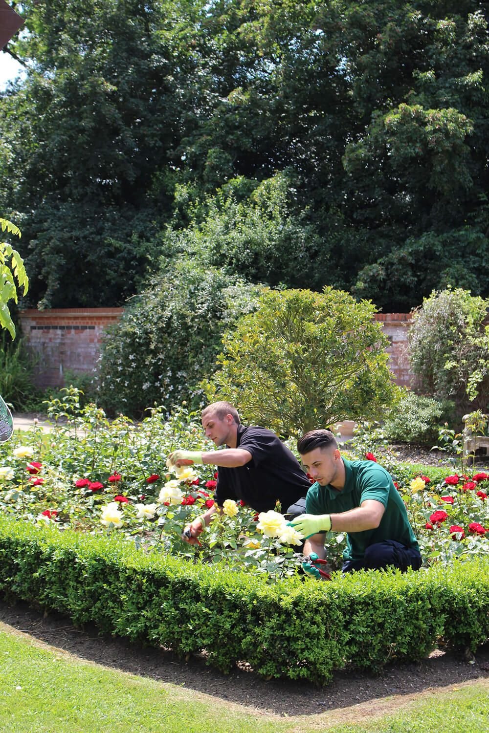 Gardener Job in New Zealand