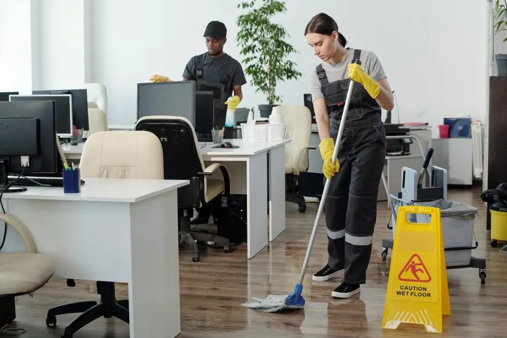 Cleaner Job in Auckland