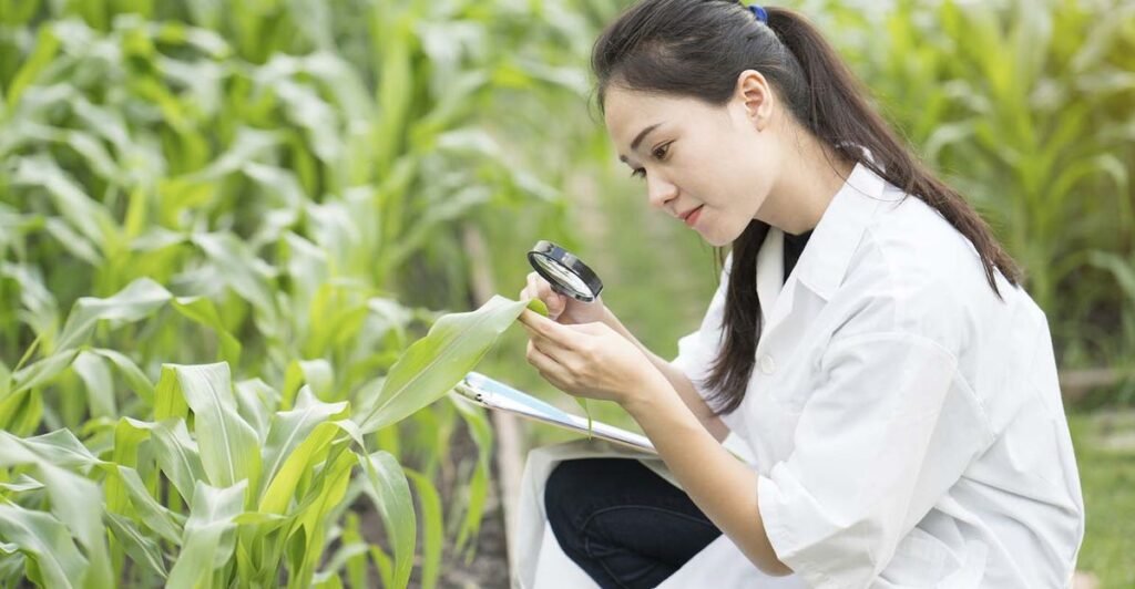 Horticulture job in Canada