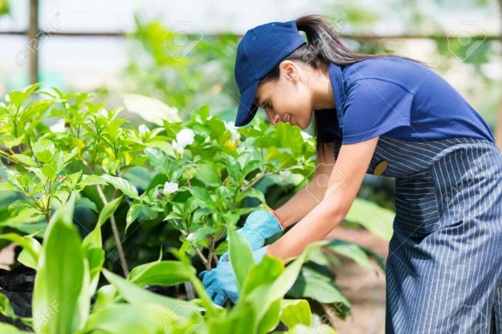 Greenhouse Worker Job in Canada