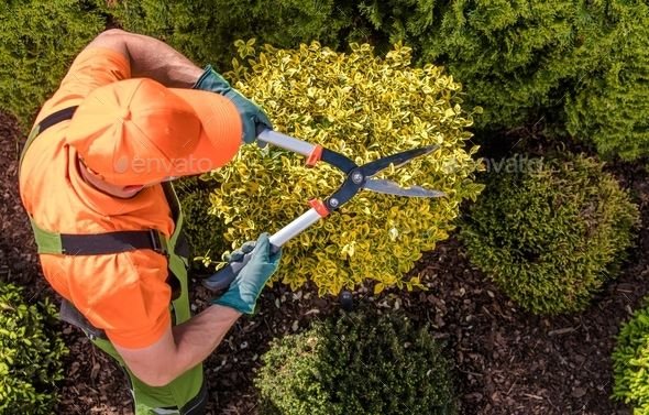 Gardener/Property Maintenance Job in New Zealand
