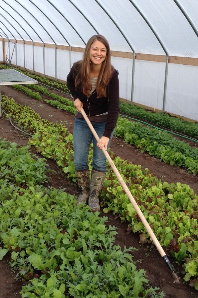 Horticulture Farm Worker Job in Dubai