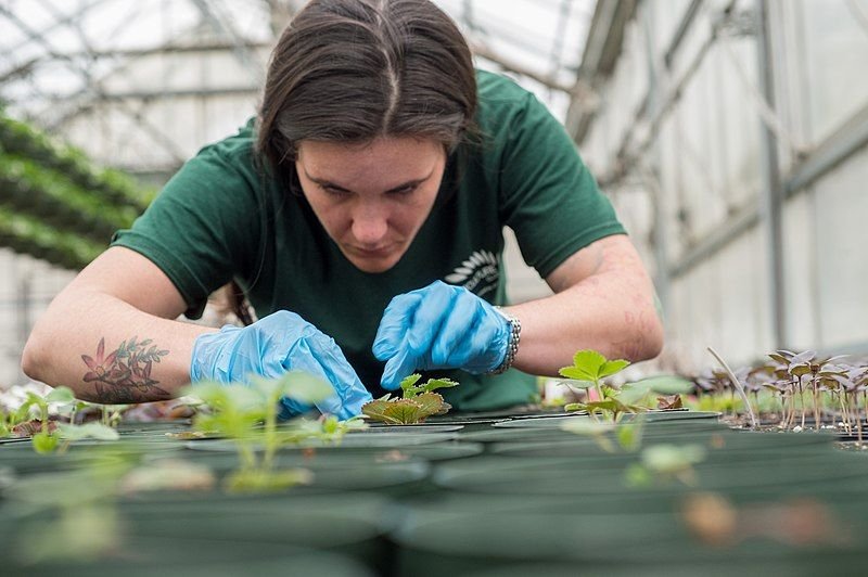 Horticulturist Job in Saudi Arabia