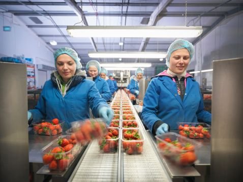 Fruit and Vegetable Farm Worker Job in Canada