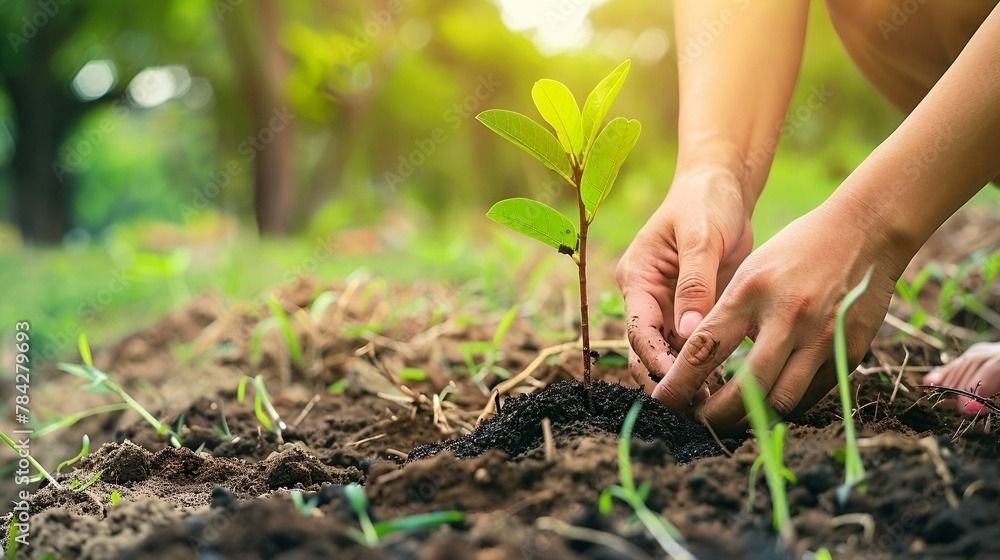 Agricultural Maintenance Supervisor & Foreman Job in Qatar