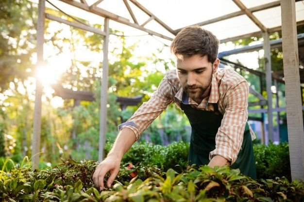 Horticulturist / Landscape Specialist Job in Qatar