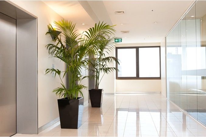 Indoor Plant Supervisor Job in Qatar