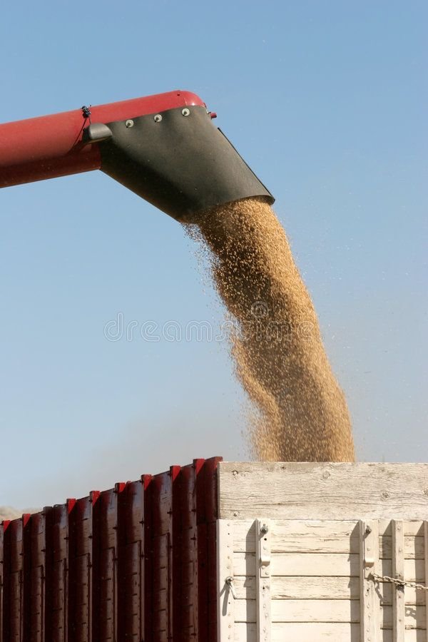 Harvest Works Crew Job in Australia