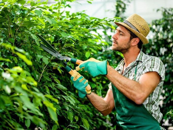Gardener Job in Qatar