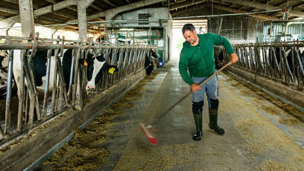 Farm Cleaner Jobs In NZ