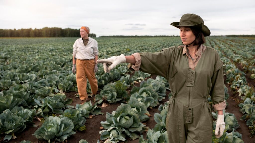 Farm Worker Jobs in Argentina