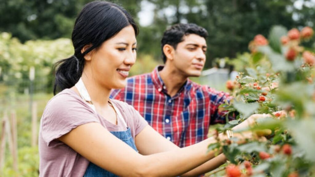 Fruit Picker and Farm Worker Jobs