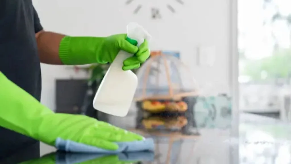 Cleaner Job New Zealand