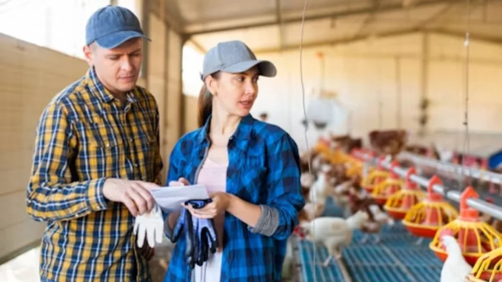 _Poultry Farm Worker Job in Australia