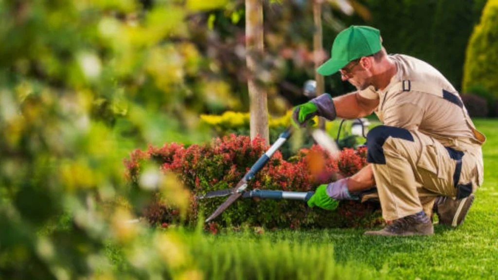 Gardener job in New Zealand